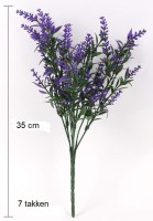 Lavendel BLAUW